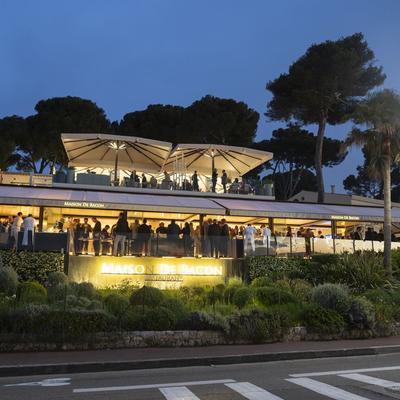 AIBI Congress 2026 - Photo 279